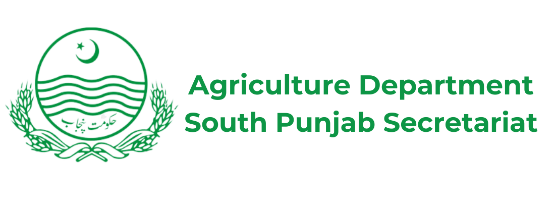 Agriculture South Punjab
