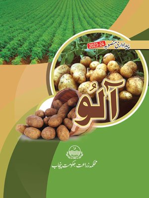 Potato Mansoobah 2023 24