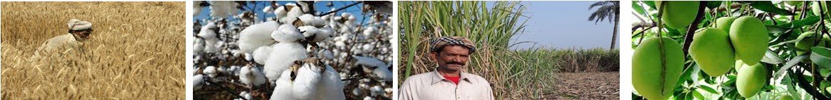 Screenshot 2024 07 09 150854