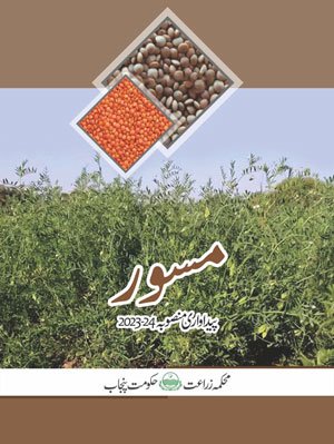 Title Lentil