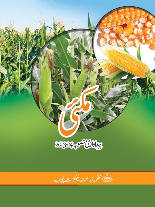 Title MAIZE PLAN 2023 24