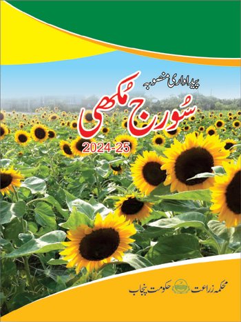 Title PP Sunflower 2024 25