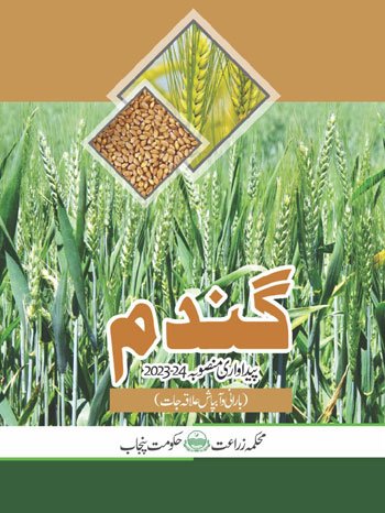 Home 18 Title PP Wheat 2023 24 1