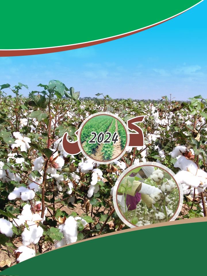 Title Plan Cotton 2024