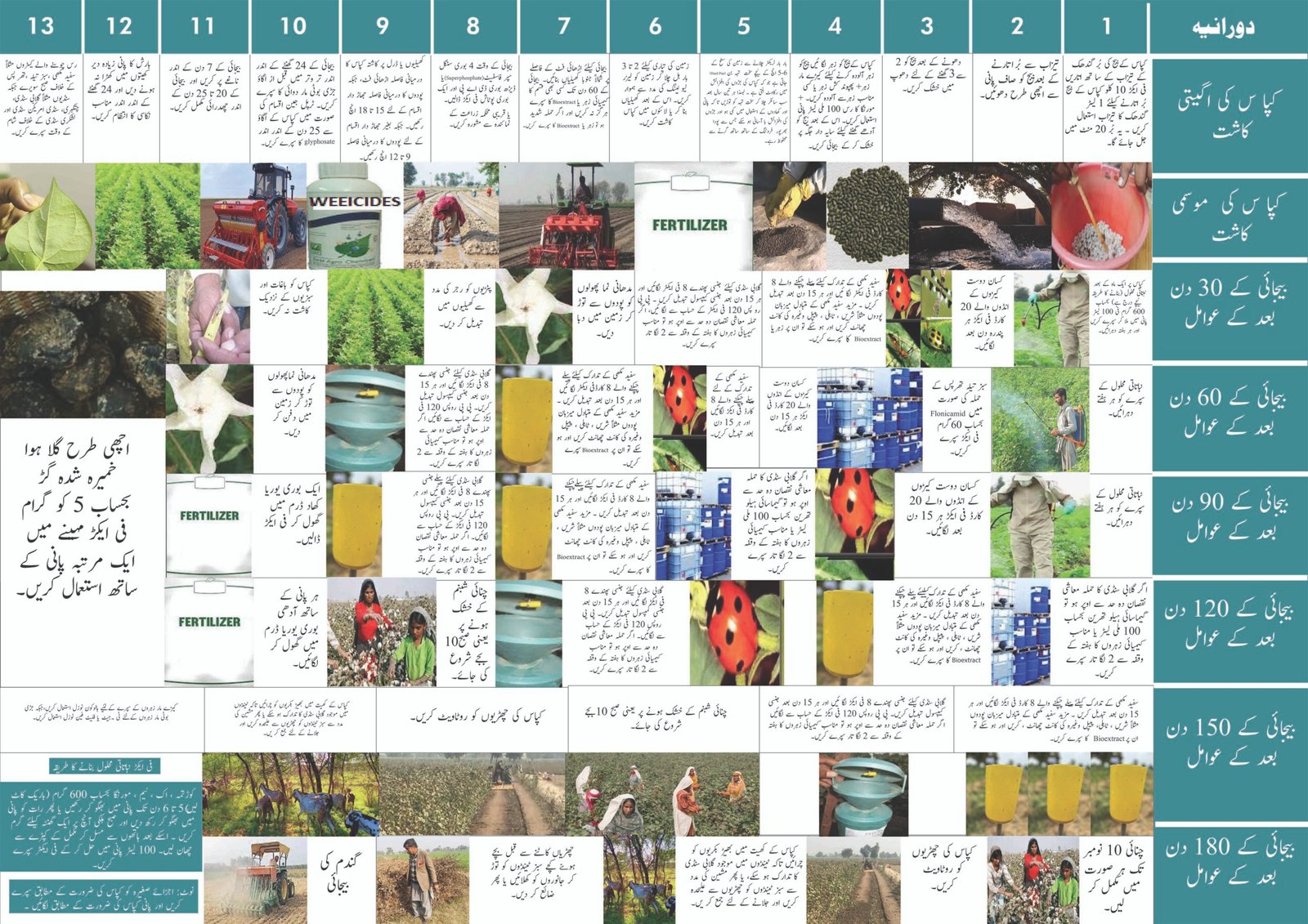 WWF Calendar 2024 20251 p2 scaled