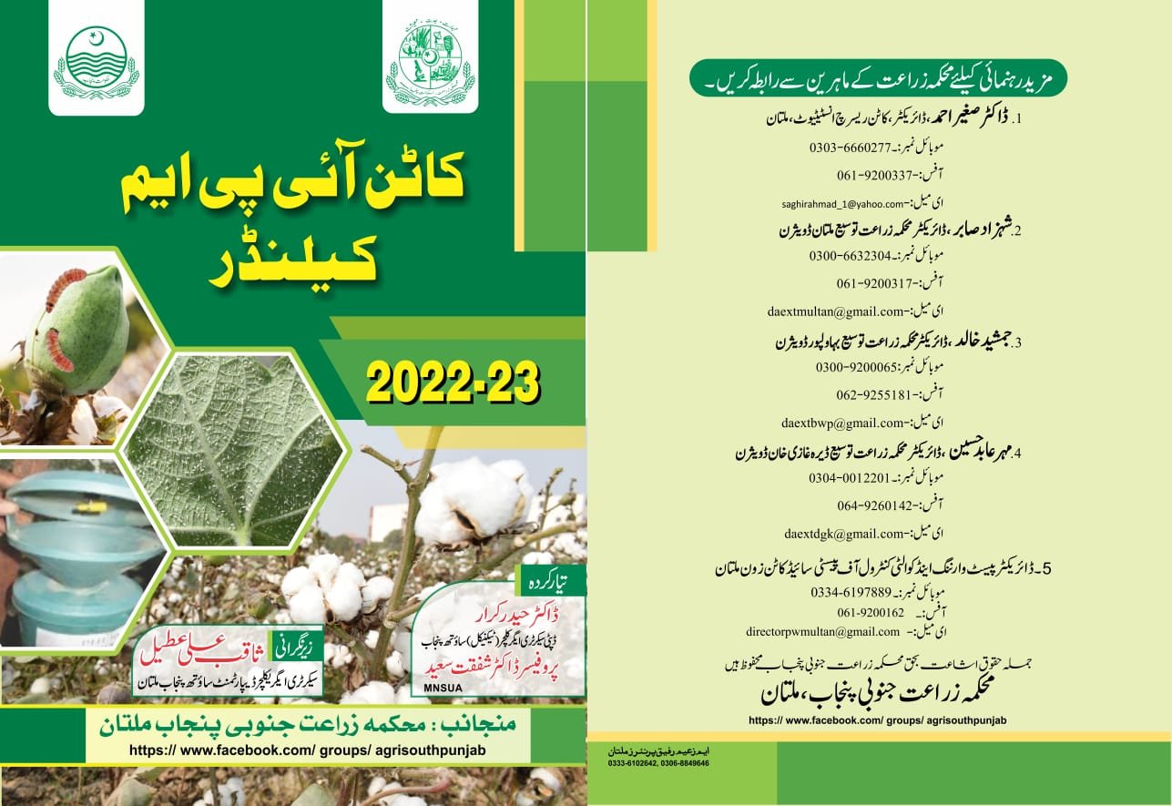 WhatsApp Image 2024 07 18 at 10.15.17 AM