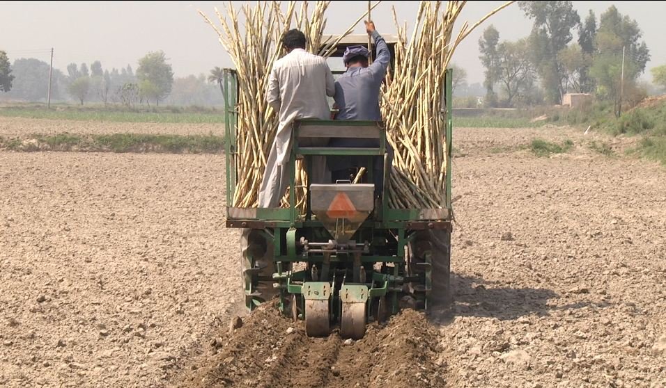 South punjab Multan agriculture History 13 sugarcane 2