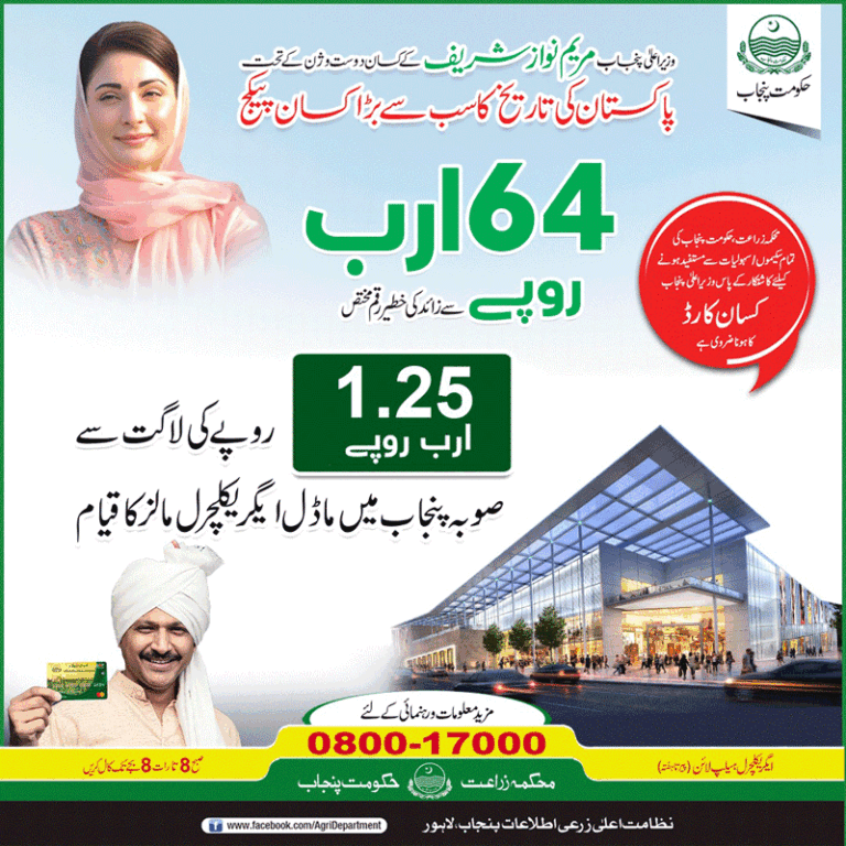 Establishment of Model Agricultural Malls in Punjab